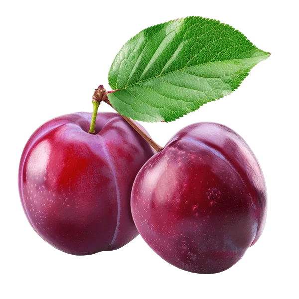Fresh & Organic Red Plum - Family Mart